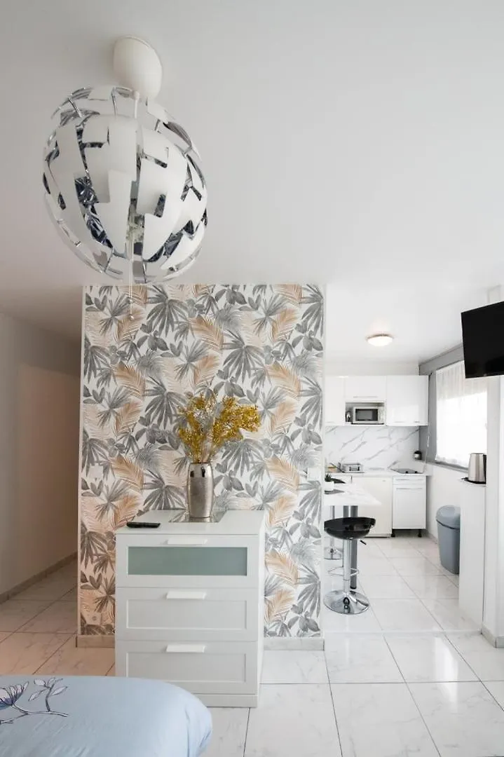 Le Jasseron - Appartement Cosy Avec Garage Quartier Partdieu Lyon France